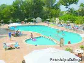 Palma Bild 4